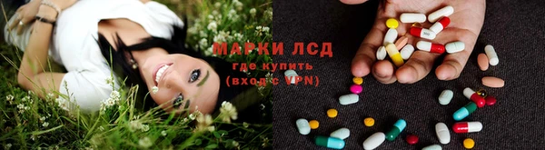 хмурый Алзамай