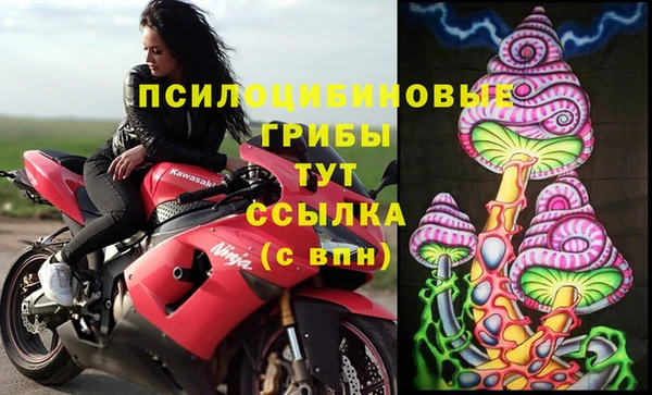 apvp Алексеевка