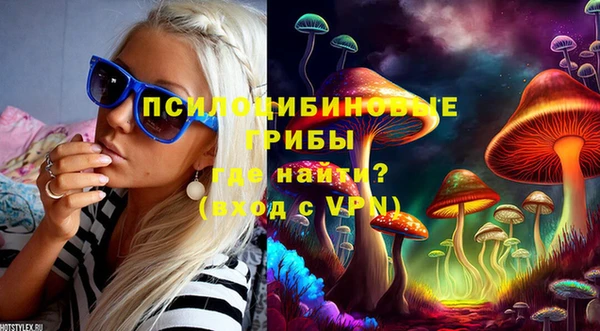 хмурый Алзамай