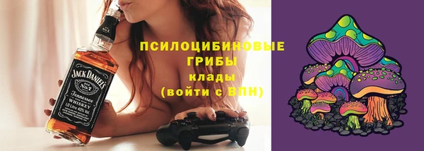 хмурый Алзамай