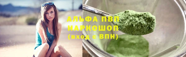 хмурый Алзамай