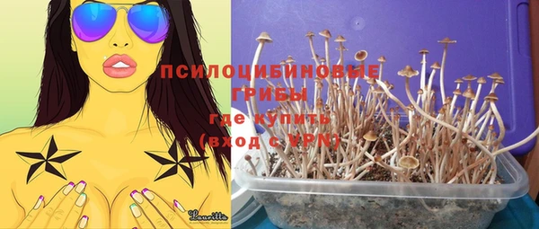хмурый Алзамай