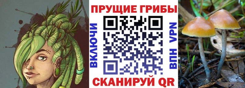 Псилоцибиновые грибы мицелий Старый Оскол